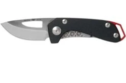 Buck 417BKS Budgie Black G10 Pocket Knife