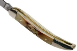 Case Small Texas Toothpick Genuine Stag 05532, 510096 SS Pocket Knife 13 Case Small Texas Toothpick Genuine Stag 05532, 510096 SS Pocket Knife -Knives Discount Store CE05532 05 case