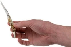 Case Small Texas Toothpick Genuine Stag 05532, 510096 SS Pocket Knife 15 Case Small Texas Toothpick Genuine Stag 05532, 510096 SS Pocket Knife -Knives Discount Store CE05532 07 case