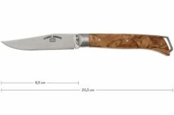 Fontenille Pataud Le Saint-Bernard, Olive Wood, A1O