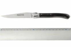 Fontenille Pataud L6PCN -Knives Discount Store FPL6PCN 06 fontenille pataud fpl6pcn d5