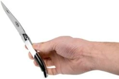 Forge De Laguiole Airbus A350 1211 INAIRBUS Laguiole Knife -Knives Discount Store LA1211INAIRBUS 07 forge de laguiole