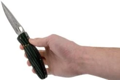 Mcusta MC-0181G Sengoku Oda Nobunaga, Micarta, Gentleman's Knife 19 Mcusta MC-0181G Sengoku Oda Nobunaga, Micarta, Gentleman's Knife -Knives Discount Store MC 0181G 08 mcusta