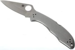 Spyderco Delica 4 C11P Pocket Knife