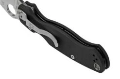 Spyderco Paramilitary 2 C81GP2 Pocket Knife 23 Spyderco Paramilitary 2 C81GP2 Pocket Knife -Knives Discount Store SPC81GP2 04 spyderco