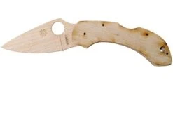 Spyderco Wooden Kit Dragonfly C28 WDKIT1 Wooden Pocket Knife