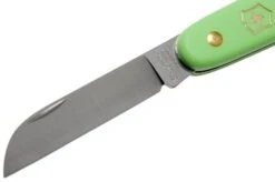 Victorinox Floral Knife 3.9050.47B1 Green 11 Victorinox Floral Knife 3.9050.47B1 Green -Knives Discount Store VT3 9050 47B1 03 victorinox