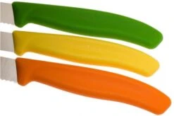 Victorinox SwissClassic Vegetable Knife Set, Set Of 3, 6.7116.31G -Knives Discount Store VT6 7116 31G 04 victorinox vt6 7116 31g 04