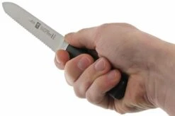 Zwilling 31070-130 Four Star Sausage Knife -Knives Discount Store ZW31070 130 05 zwilling four star zw31070 130 05
