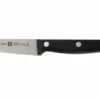 Zwilling 34910-081 Twin Chef Paring Knife -Knives Discount Store ZW34910 081 01 zwilling twin chef zw34910 081 d1
