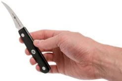 Zwilling Gourmet Turning Knife 6 Cm, 36110-061 13 Zwilling Gourmet Turning Knife 6 Cm, 36110-061 -Knives Discount Store ZW36110 061 0 06 zwilling gourmet zw36110 061 0 06