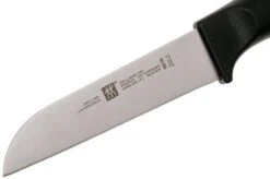 Zwilling Life Vegetable Knife, 38580-091-0 -Knives Discount Store ZW38580 091 0 03 zwilling life zw38580 091 0 03