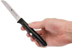Zwilling Life Vegetable Knife, 38580-091-0 -Knives Discount Store ZW38580 091 0 06 zwilling life zw38580 091 0 06